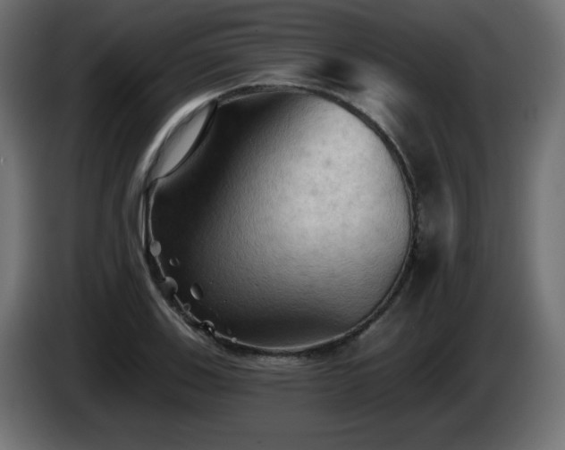 X0000085061123200703051433