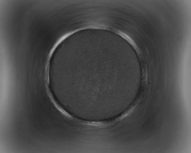 X0000085061128200703051433