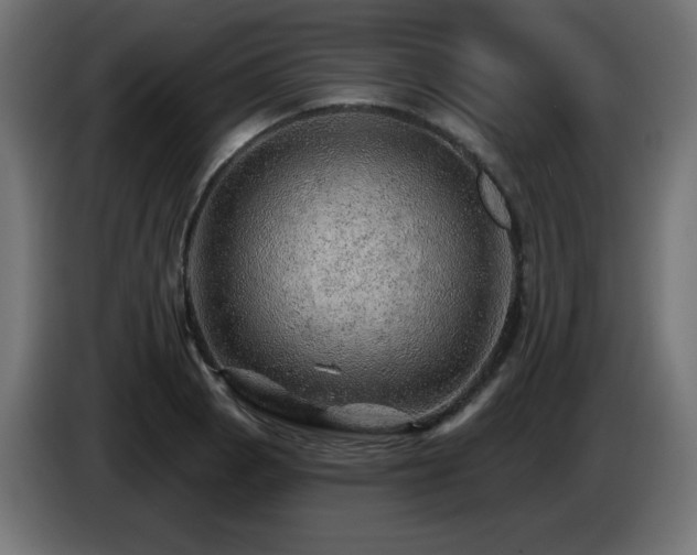 X0000085061129200703051433