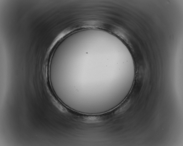 X0000085061130200703051433