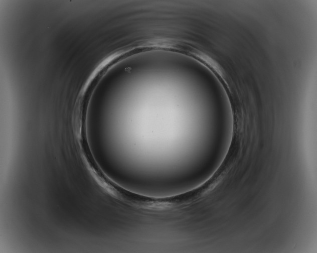 X0000085061131200703051433