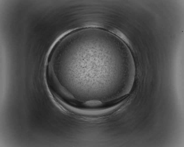 X0000085061132200703051433