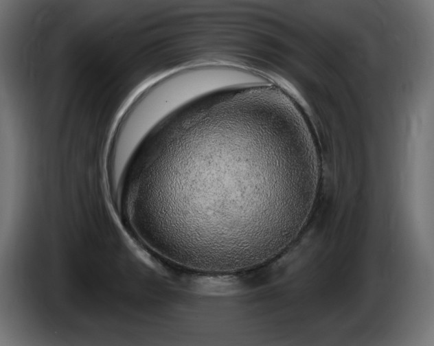 X0000085061133200703051433