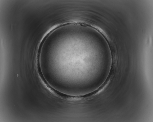 X0000085061134200703051433
