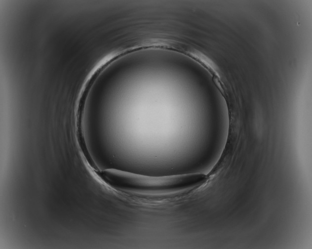 X0000085061135200703051433