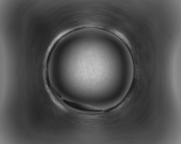 X0000085061136200703051433