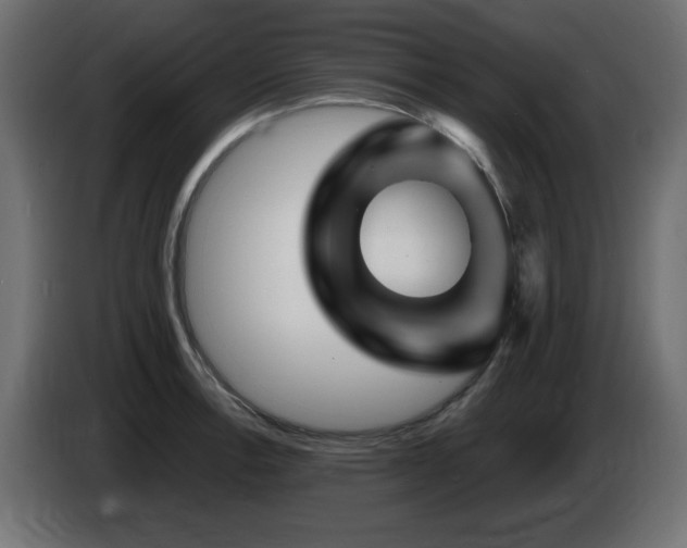 X0000085061138200703051433