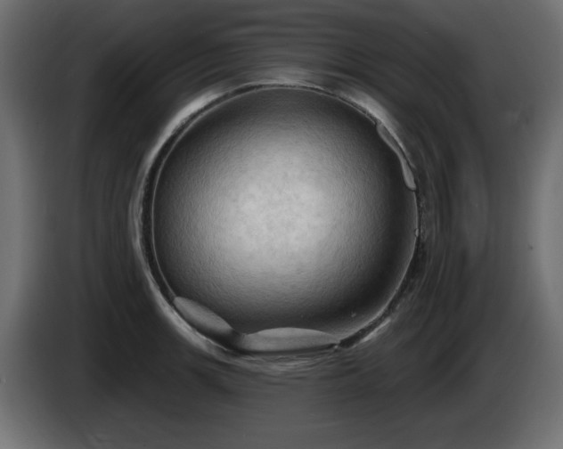 X0000085061139200703051433