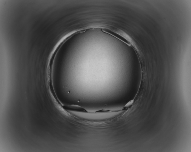 X0000085061140200703051433