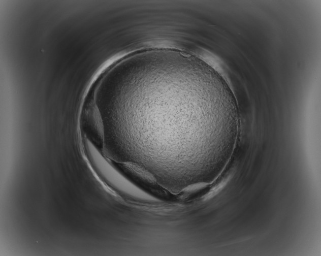 X0000085061141200703051433