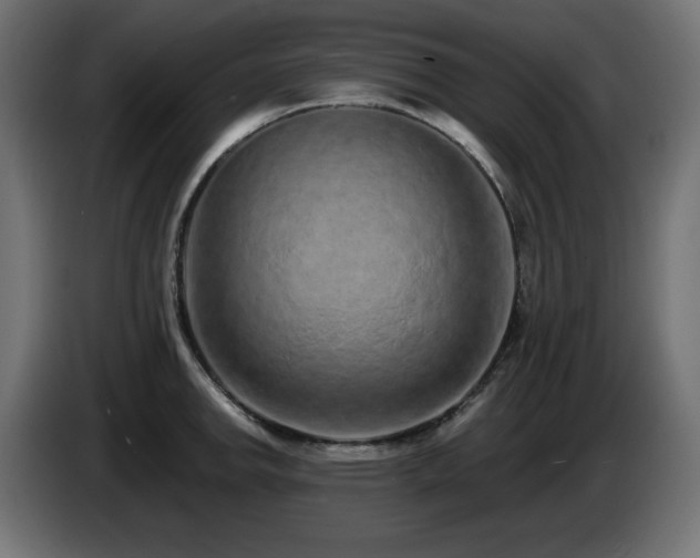 X0000085061142200703051433