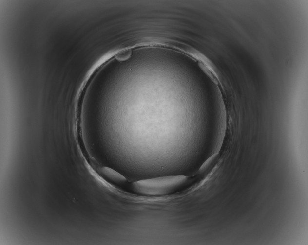 X0000085061143200703051433