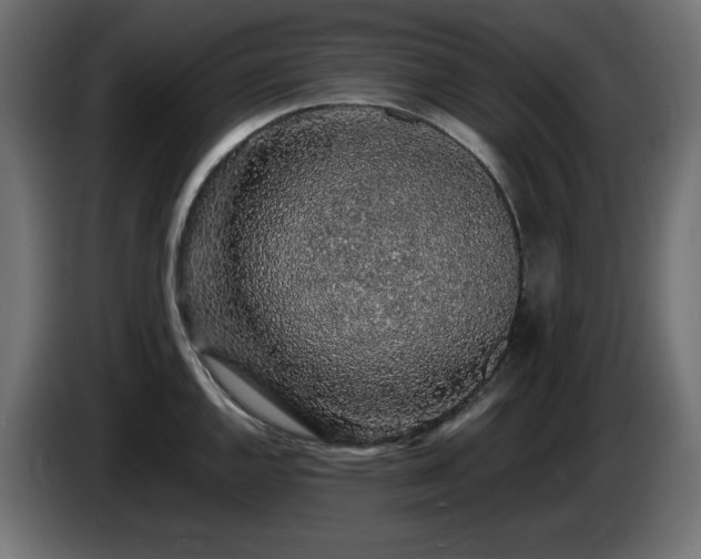 X0000085061144200703051433