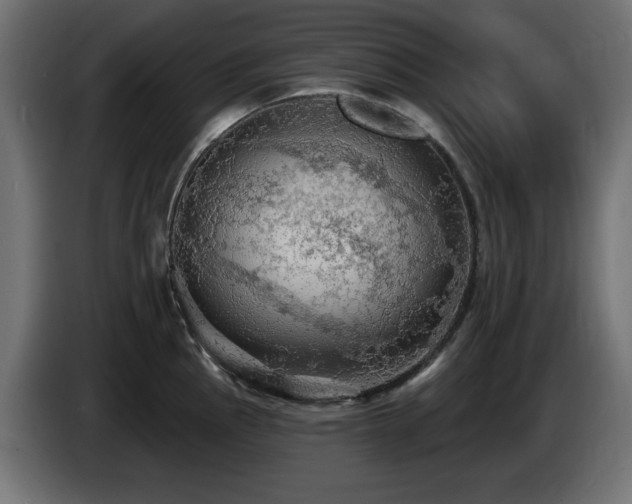 X0000085061145200703051433