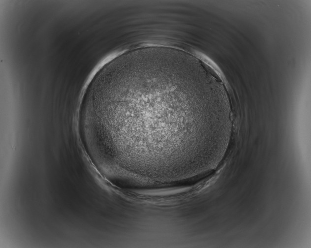 X0000085061146200703051433