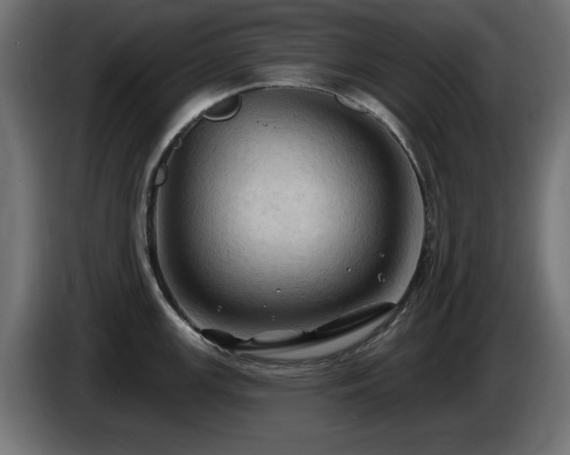 X0000085061147200703051433