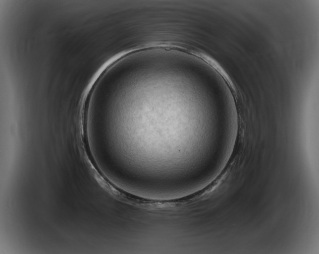 X0000085061148200703051433