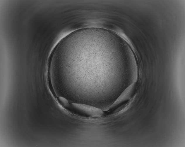 X0000085061149200703051433