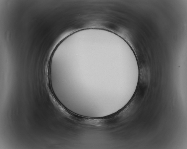X0000085061150200703051433