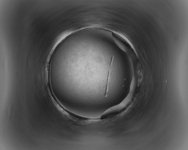 X0000085061151200703051433