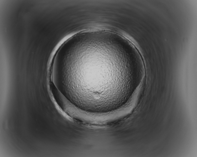 X0000085061152200703051433