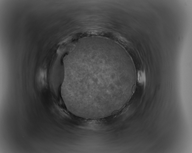 X0000085061155200703051433