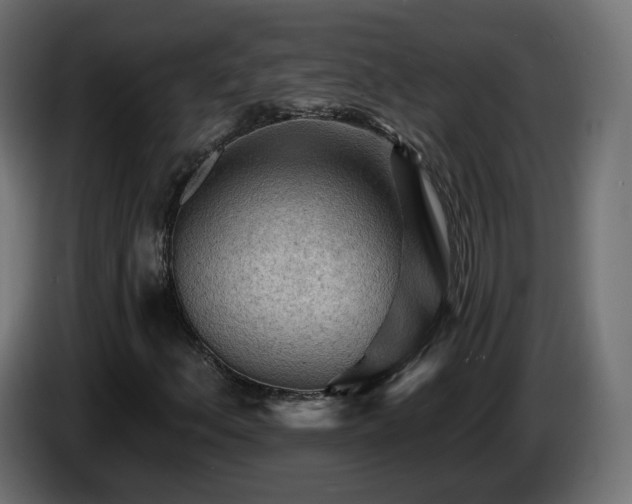 X0000085061156200703051433