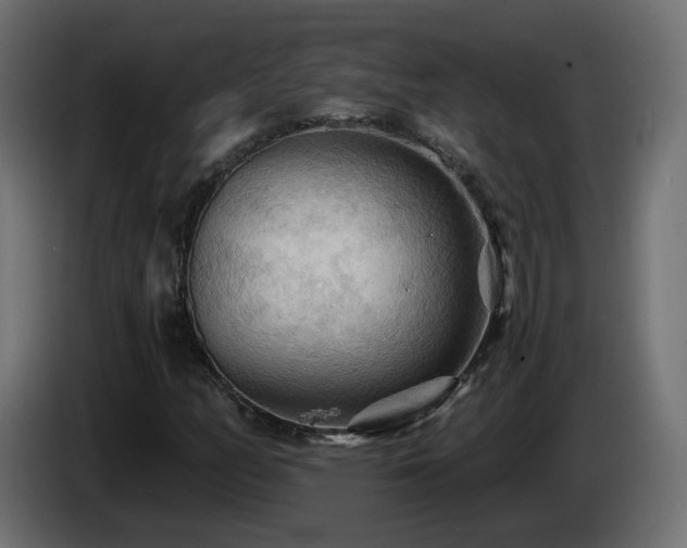 X0000085061158200703051432