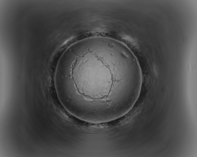 X0000085061159200703051432