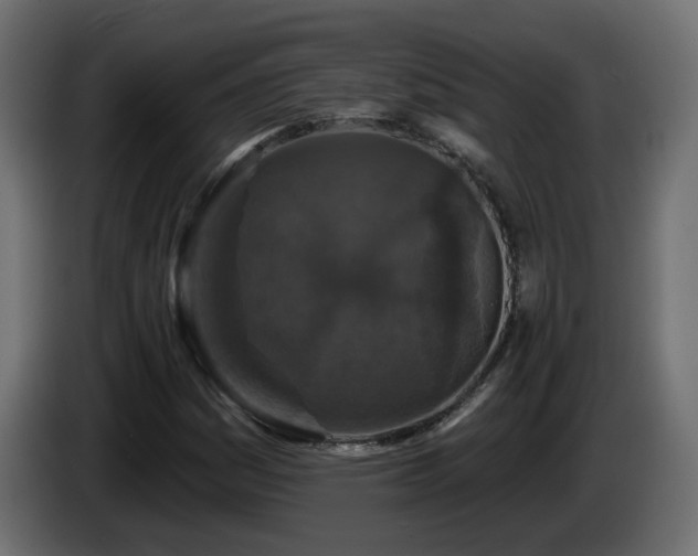 X0000085061161200703051432