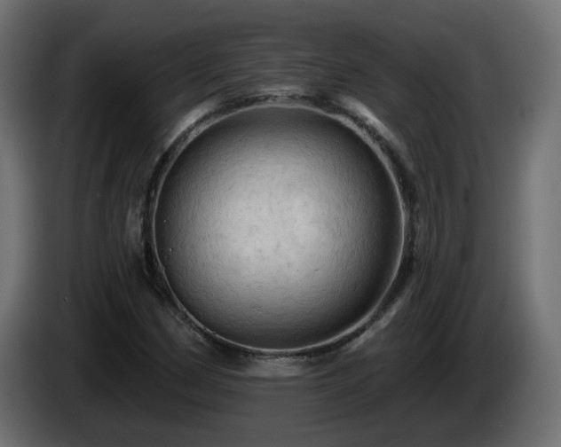 X0000085061162200703051432