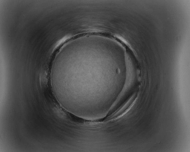 X0000085061163200703051432