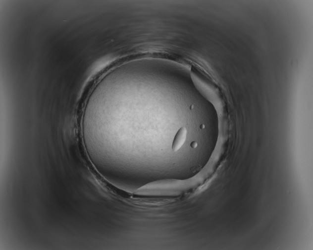 X0000085061164200703051432
