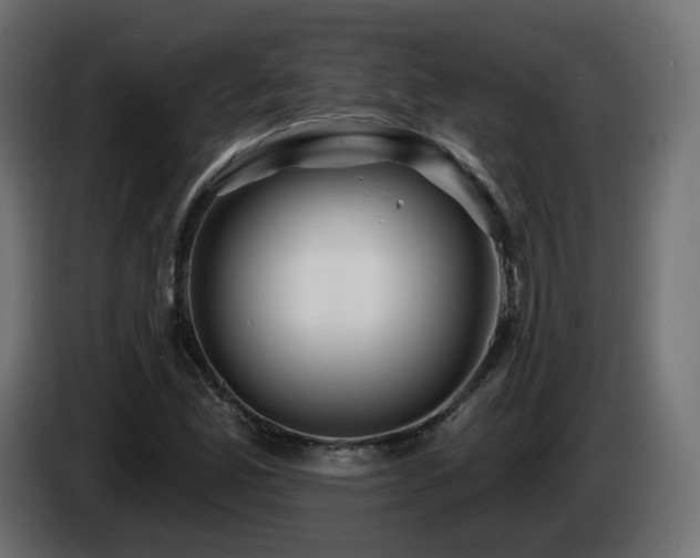 X0000085061165200703051432