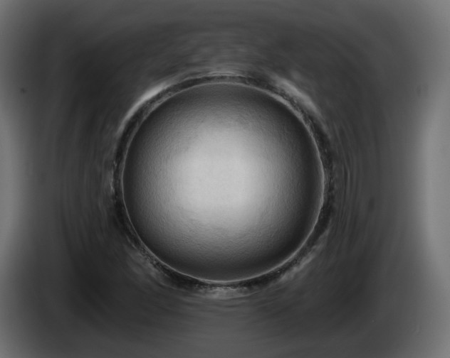 X0000085061166200703051432
