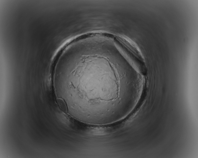 X0000085061167200703051432