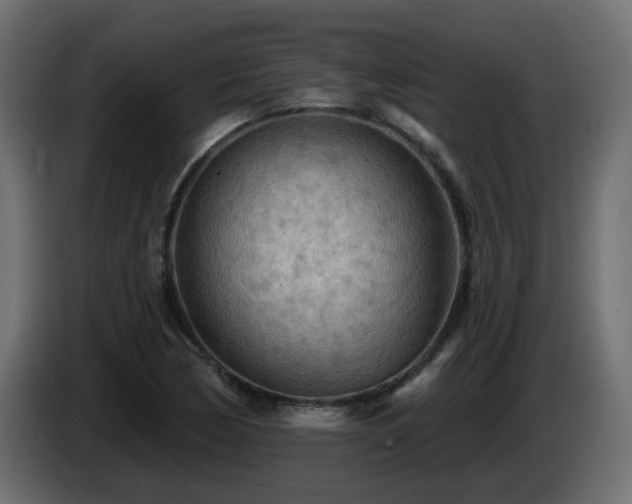 X0000085061170200703051432