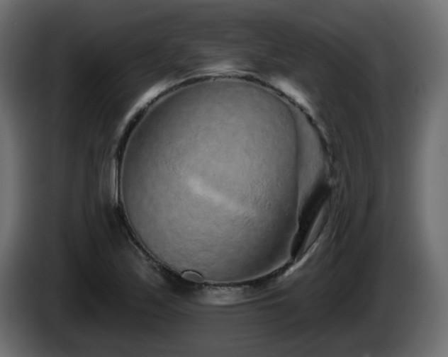 X0000085061171200703051432