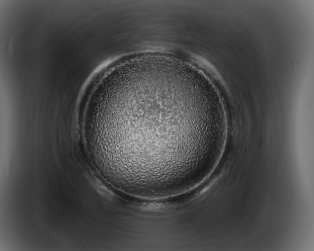 X0000085061172200703051432