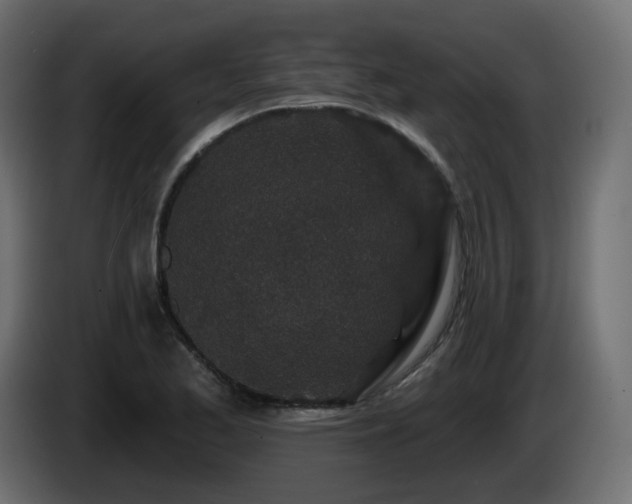 X0000085061173200703051432