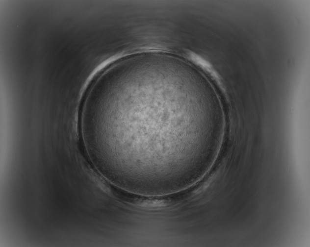 X0000085061174200703051432