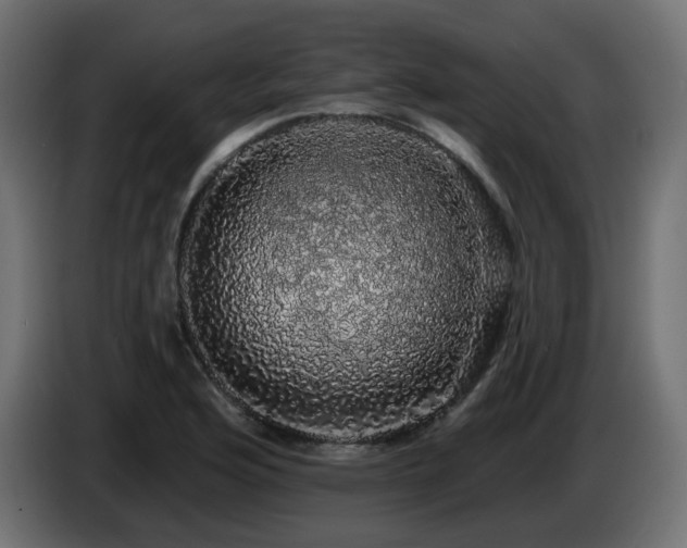 X0000085061176200703051432