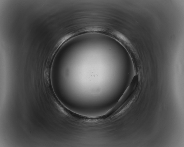 X0000085061177200703051432