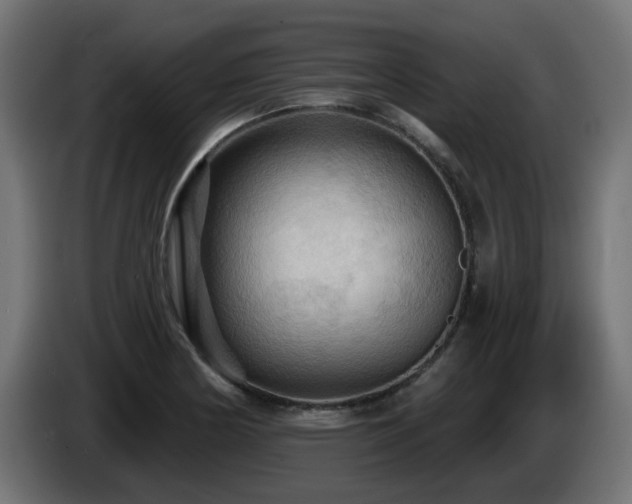 X0000085061178200703051432