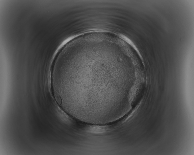 X0000085061179200703051432