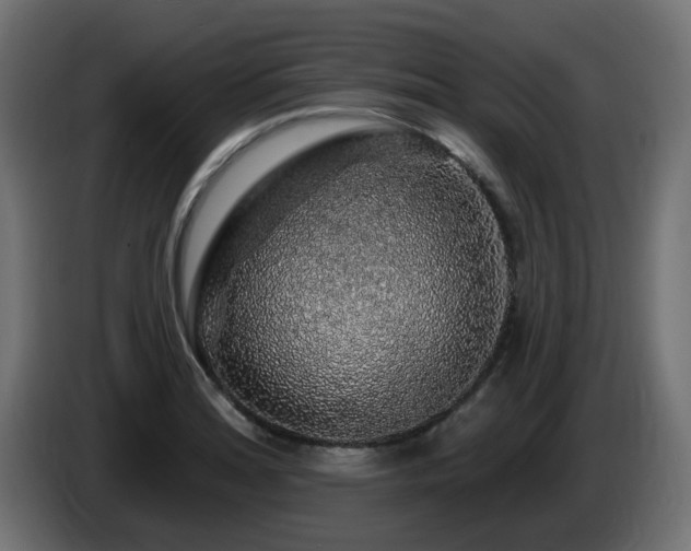 X0000085061180200703051432