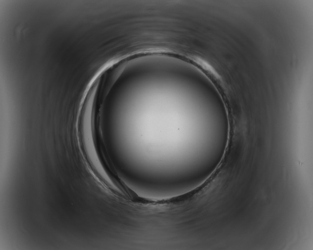 X0000085061181200703051432