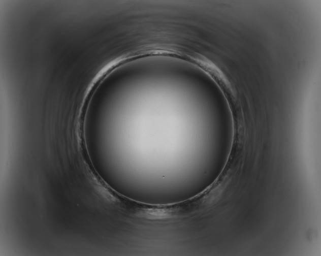 X0000085061182200703051432