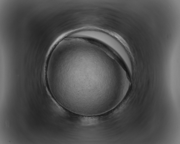 X0000085061183200703051432