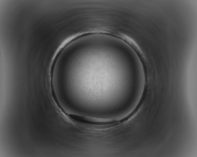 X0000085061184200703051432